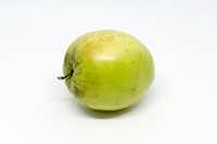 Indian Jujube