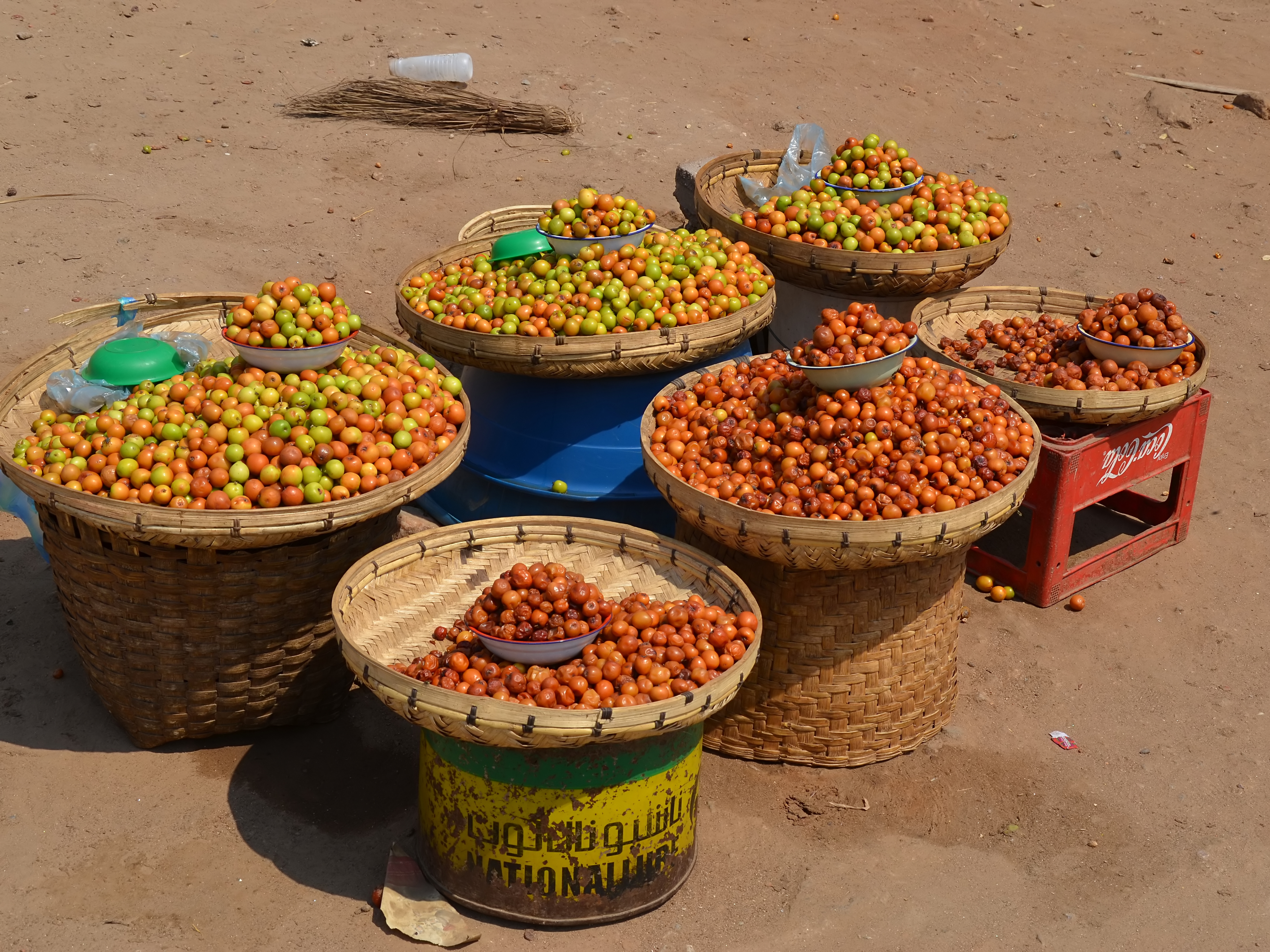 Indian Jujube photo 4